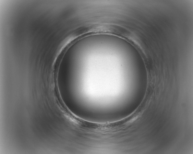 X0000065981075200603031148