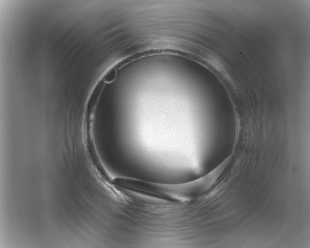 X0000065981076200603031148