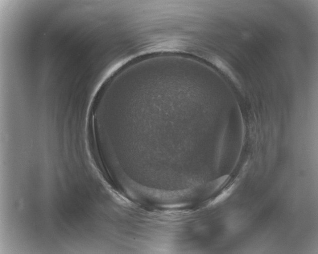 X0000065981077200603031148