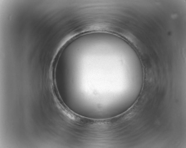 X0000065981078200603031148