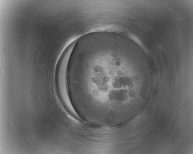 X0000065981079200603031148