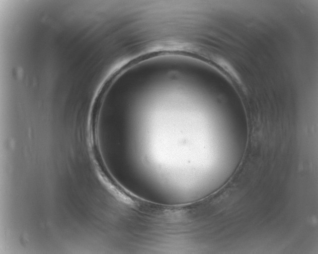 X0000065981080200603031148