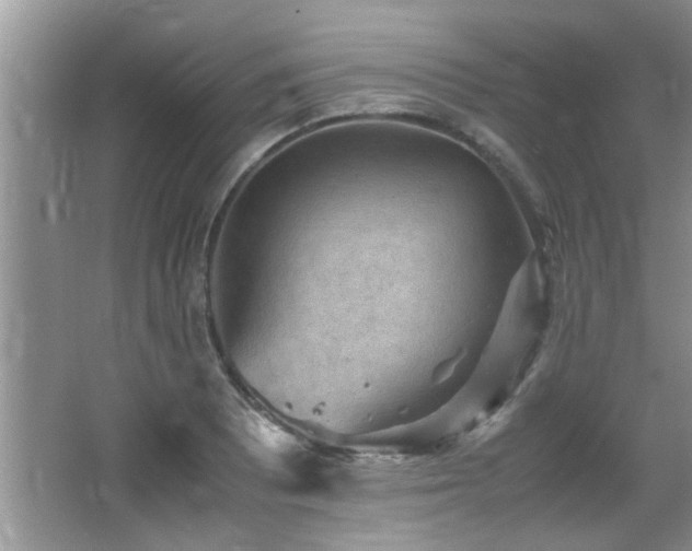 X0000065981081200603031148