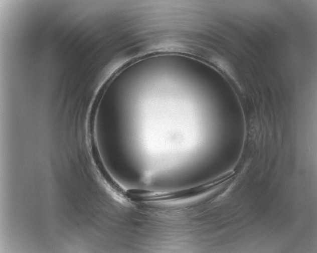 X0000065981082200603031148