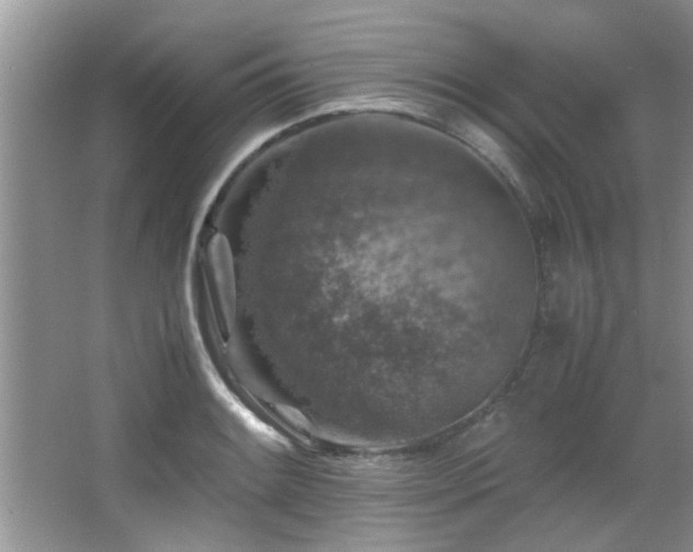 X0000065981084200603031148