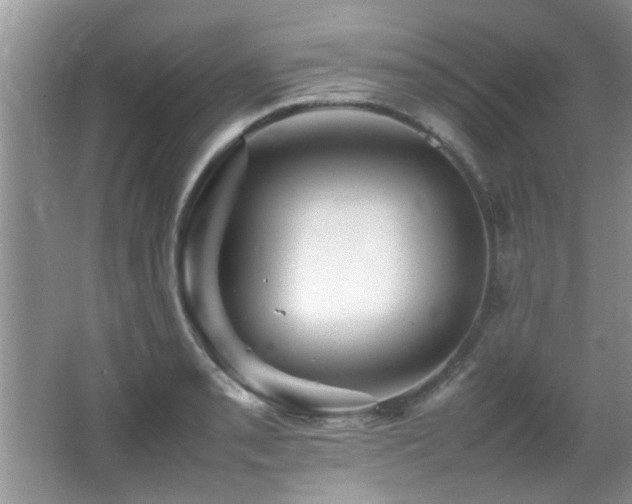 X0000065981085200603031148