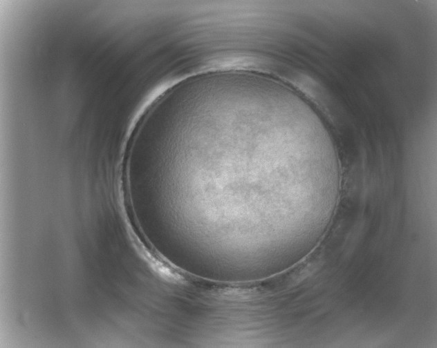 X0000065981086200603031148