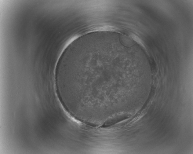 X0000065981087200603031148