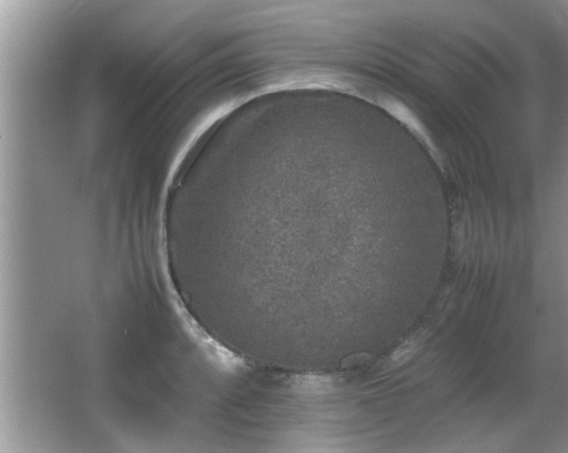 X0000065981088200603031148