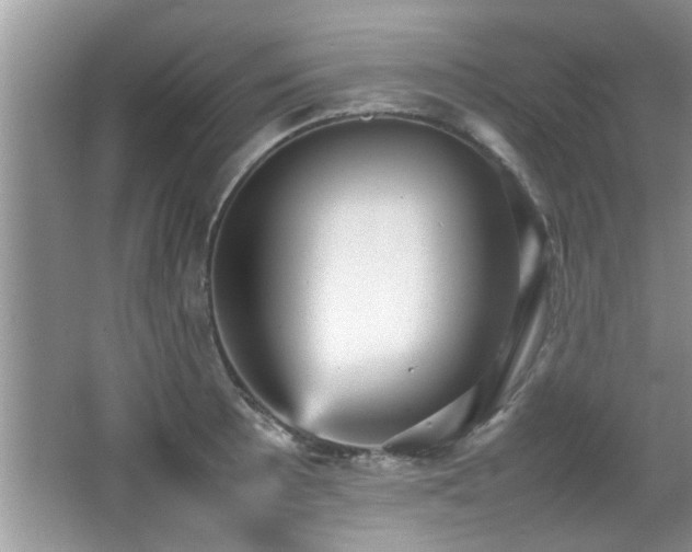 X0000065981089200603031148