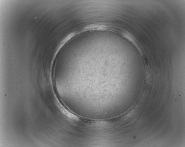 X0000065981090200603031148