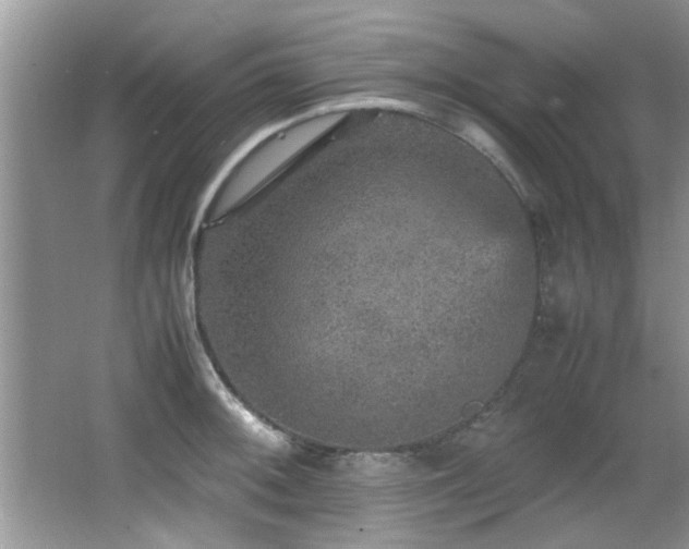 X0000065981092200603031148