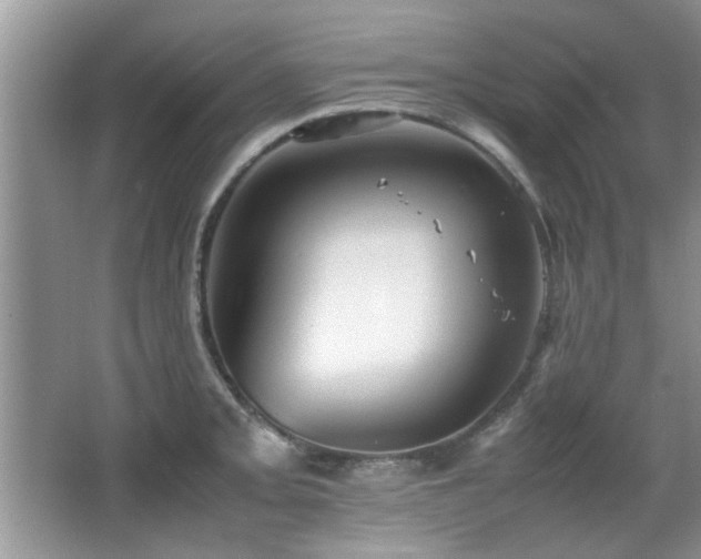 X0000065981093200603031148