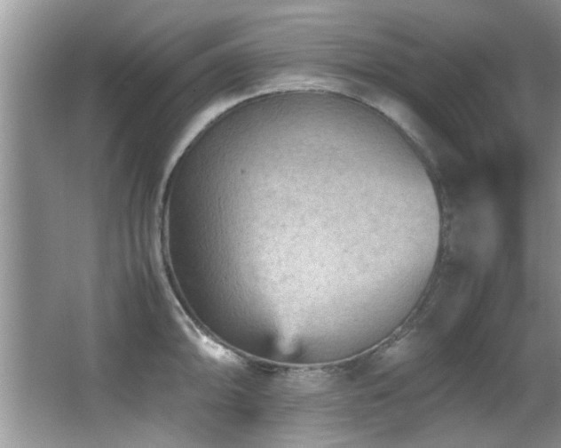 X0000065981094200603031148