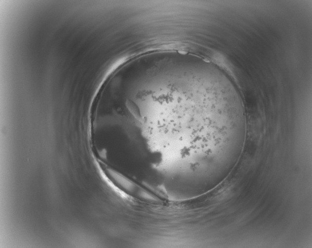 X0000065981095200603031148