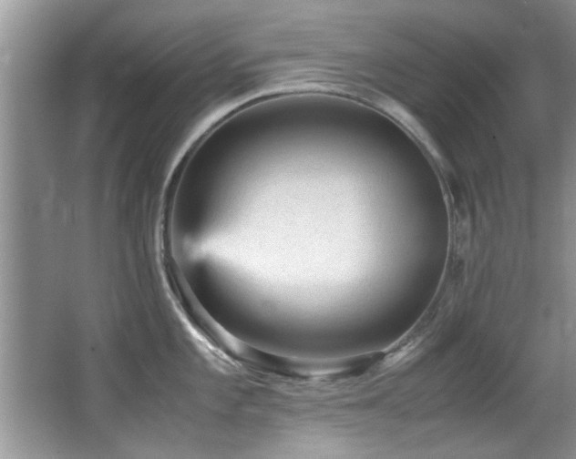 X0000065981101200603031148