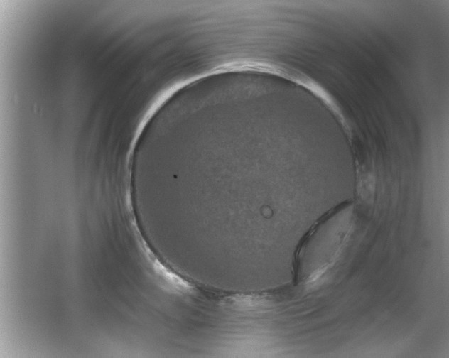 X0000065981102200603031148