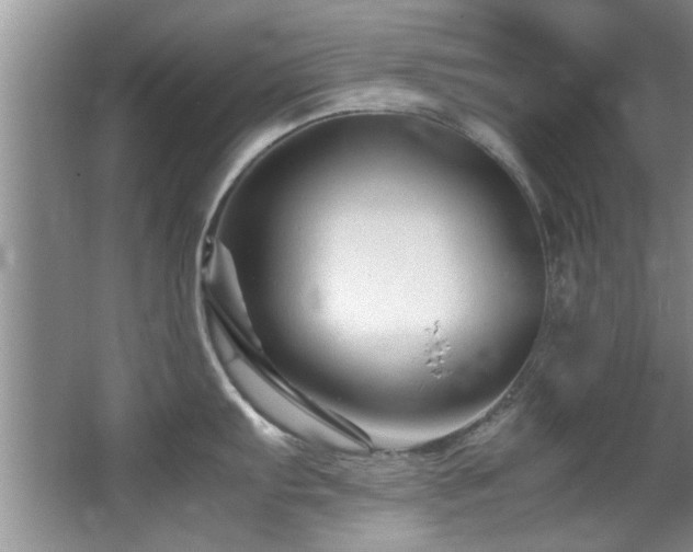 X0000065981103200603031148