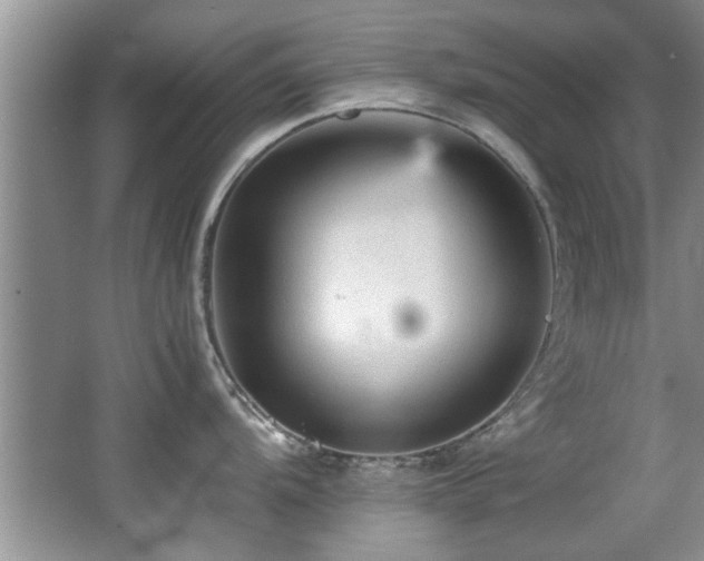 X0000065981104200603031148