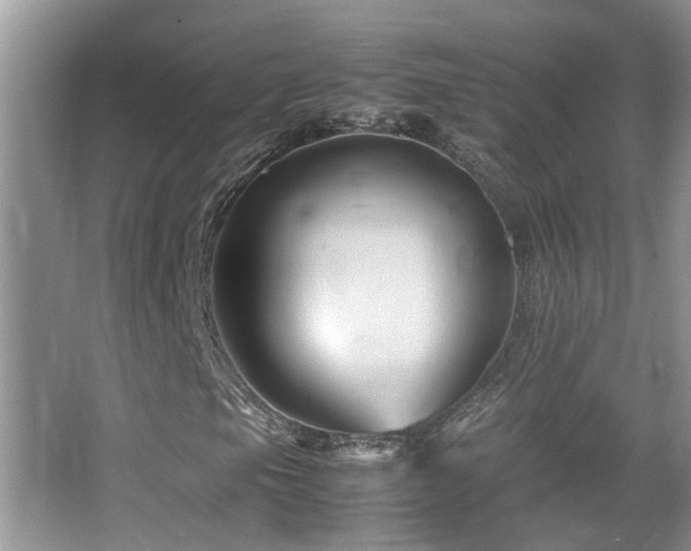 X0000065981105200603031147