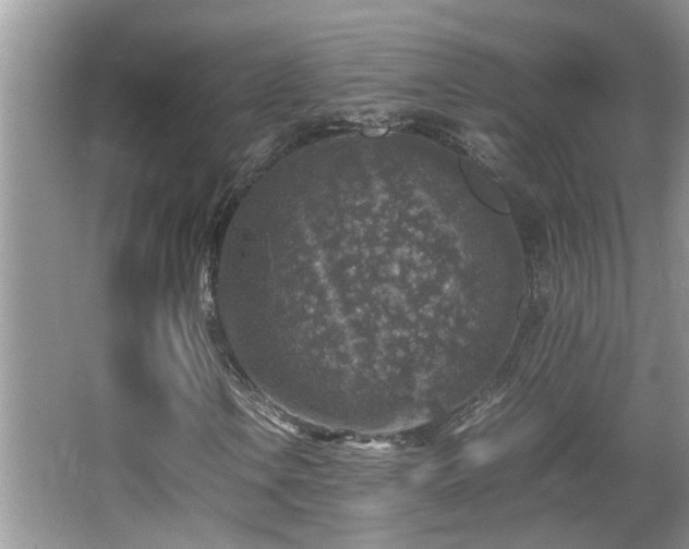 X0000065981106200603031147