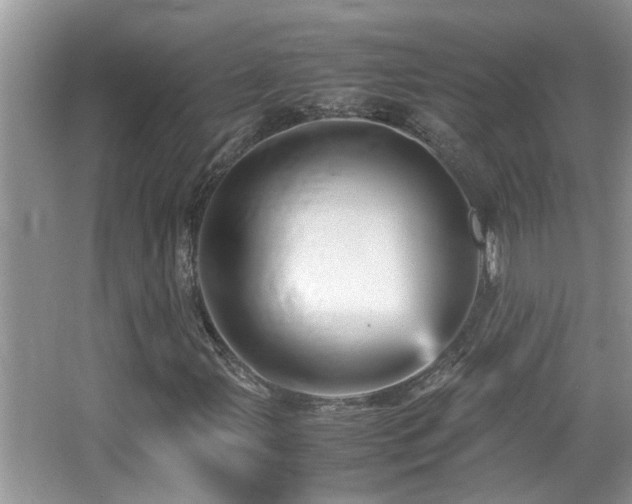 X0000065981107200603031147