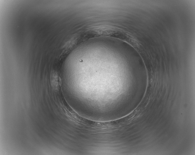 X0000065981108200603031147