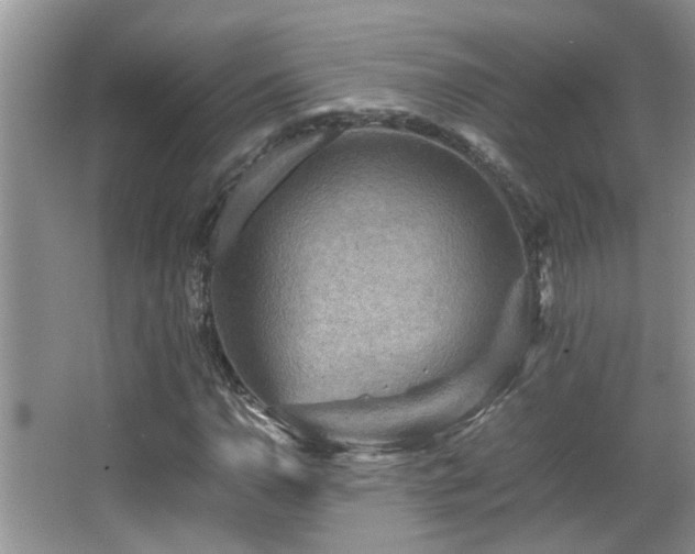 X0000065981110200603031147