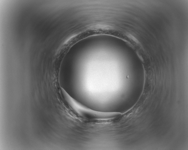 X0000065981112200603031147