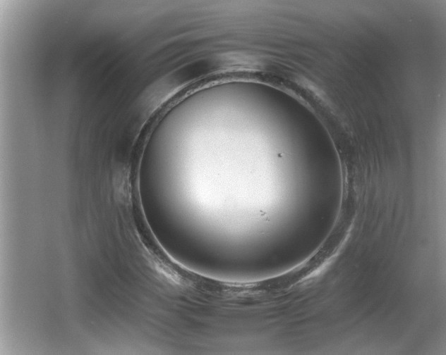 X0000065981113200603031147