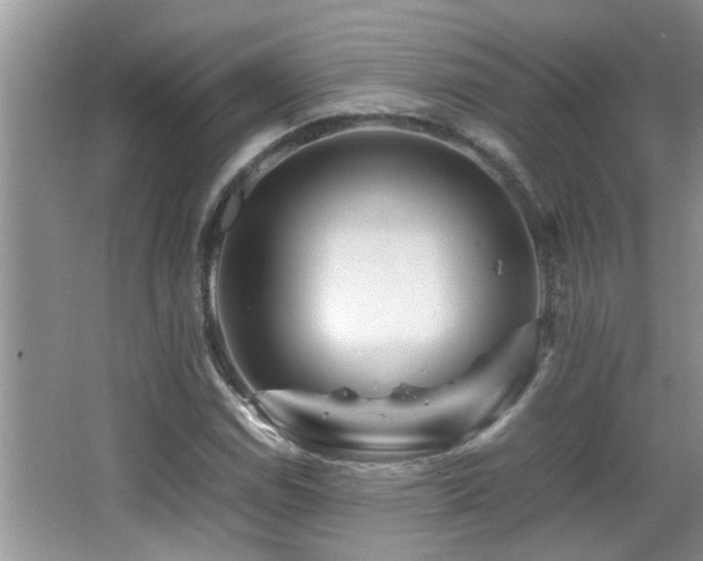 X0000065981114200603031147