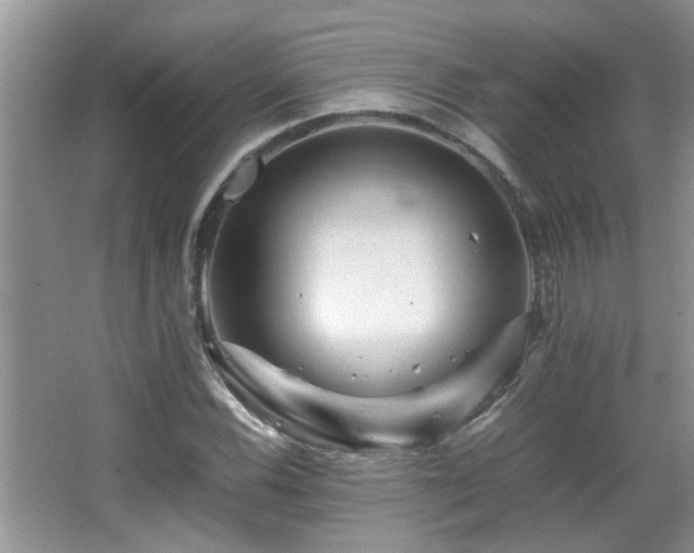 X0000065981116200603031147