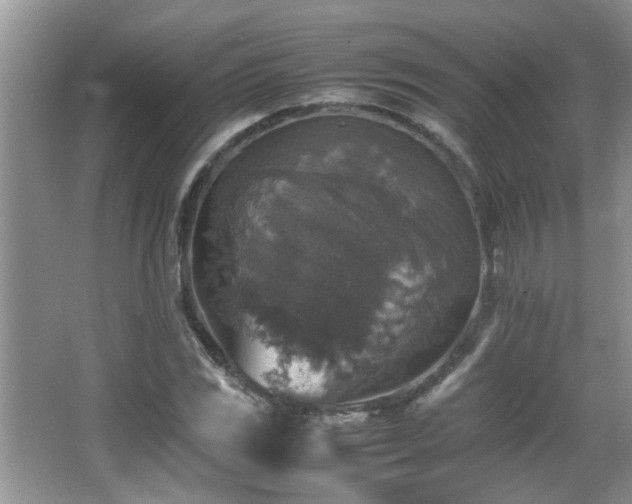 X0000065981117200603031147