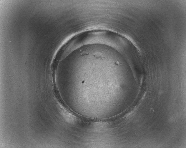 X0000065981118200603031147