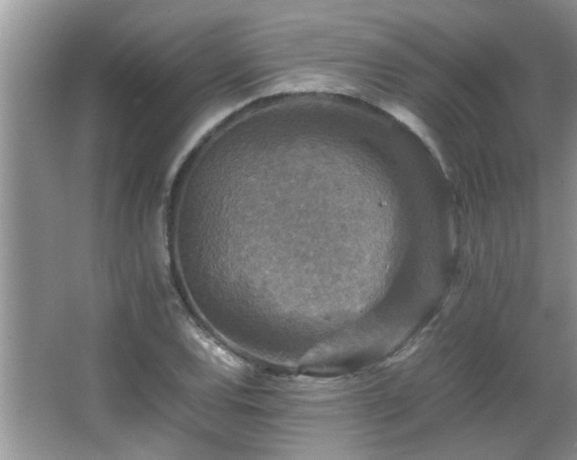 X0000065981120200603031147