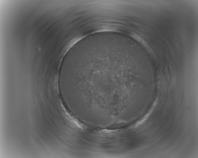 X0000065981121200603031147