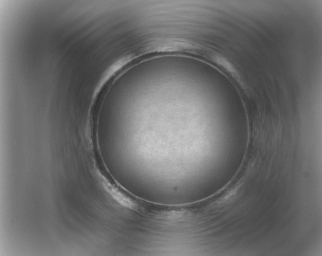 X0000065981122200603031147