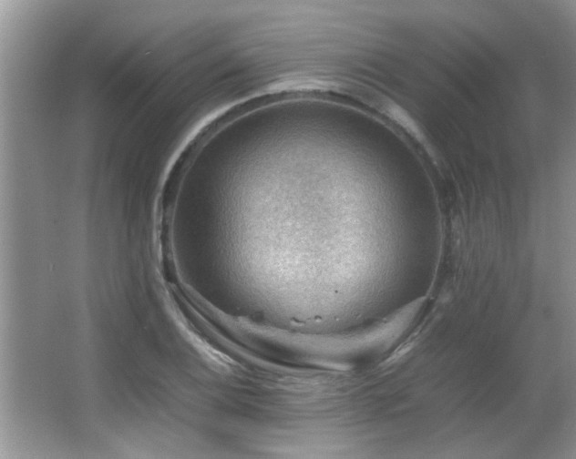 X0000065981124200603031147