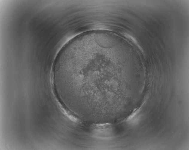 X0000065981125200603031147