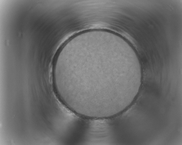 X0000065981126200603031147