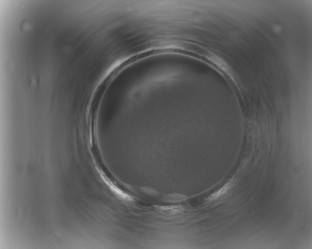 X0000065981127200603031148