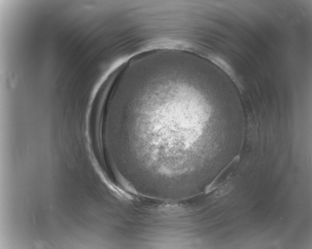 X0000065981128200603031148