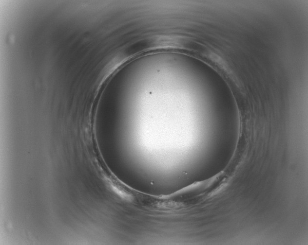 X0000065981129200603031148