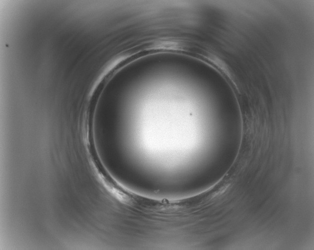 X0000065981131200603031148