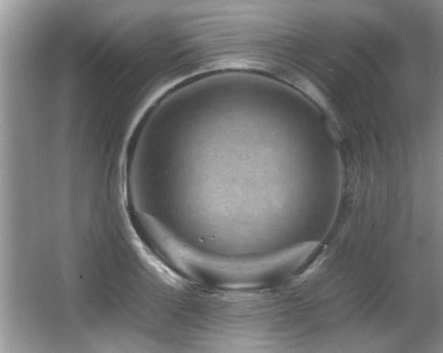 X0000065981132200603031148