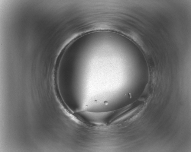 X0000065981134200603031148