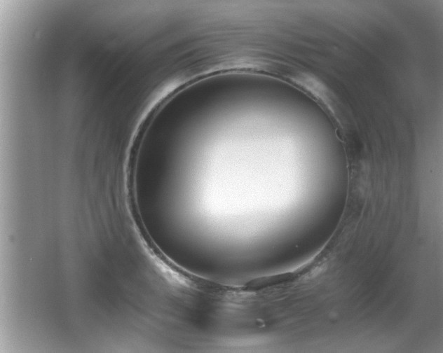 X0000065981135200603031148