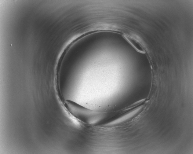 X0000065981136200603031148