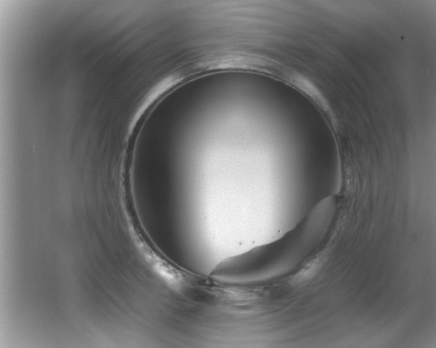 X0000065981138200603031148