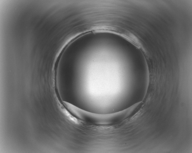 X0000065981140200603031148